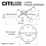 Потолочная люстра Citilux Glob CL209293