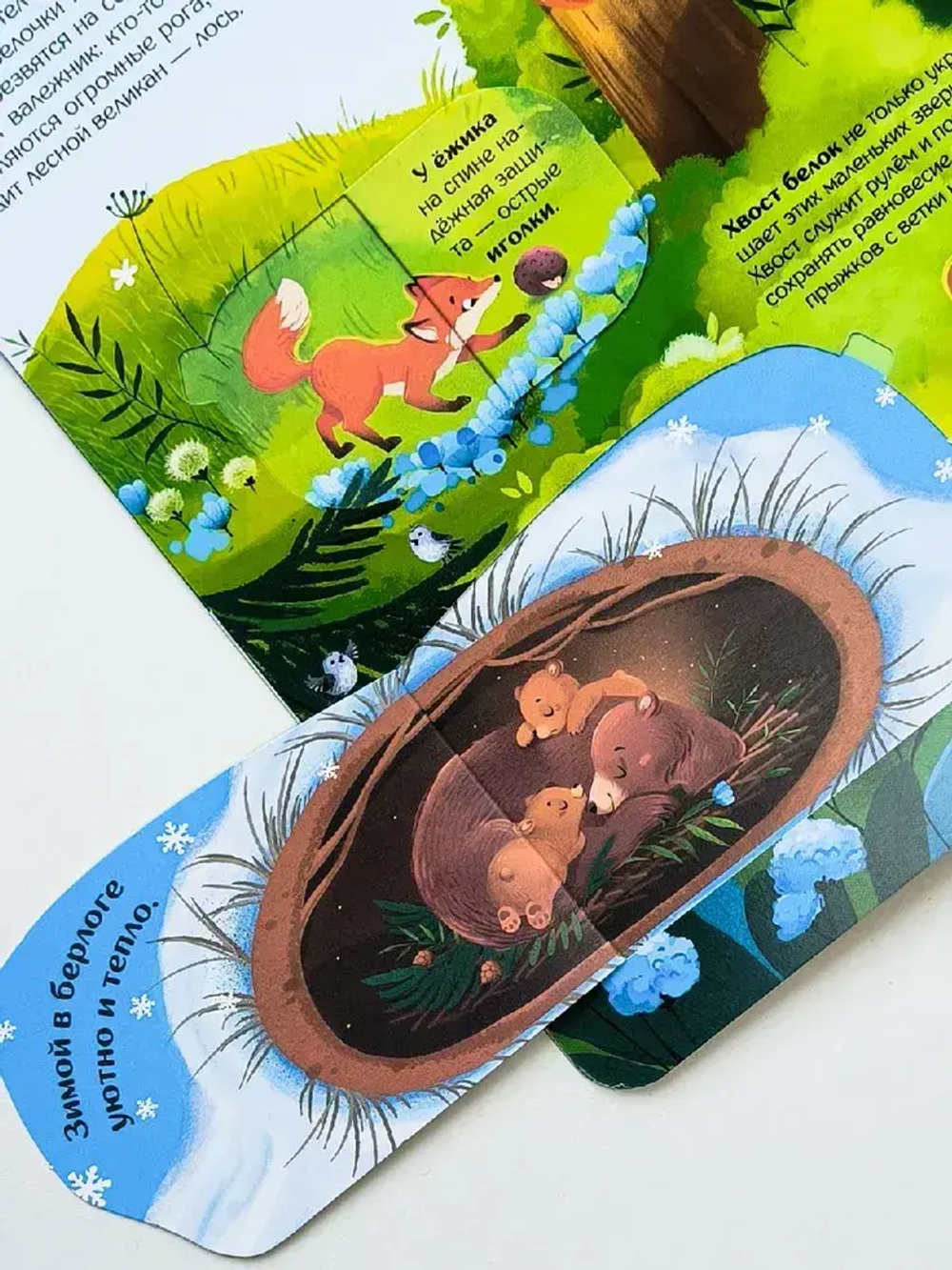 Книжка с окошками