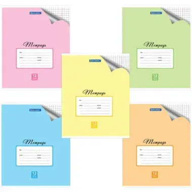 Тетрадь 12 л. кл. (BRAUBERG) 