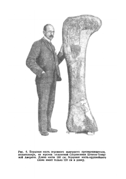 Вымершие животные | Р. Э. Ланкестер