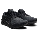 Кроссовки Asics GT-2000 10 2E, 1011B186-001