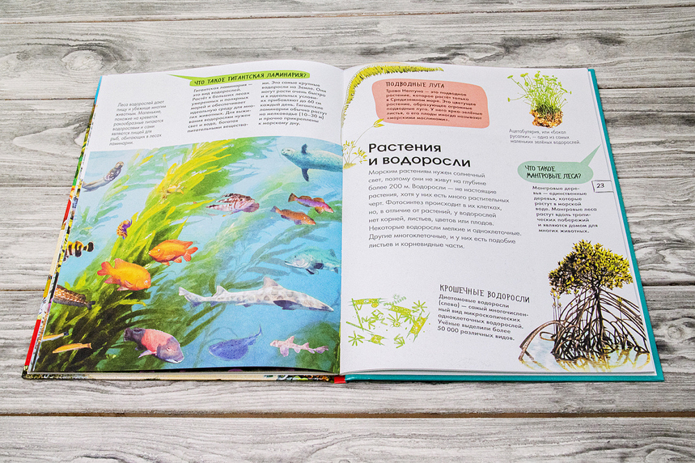 Подводный мир. Детская энциклопедия