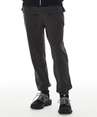 Брюки джоггеры с принтом salt washing