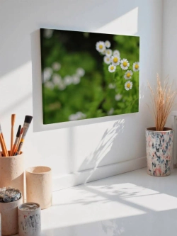 Картина на стену 40 X 50 Ромашка