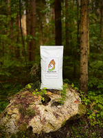 Сухой корм SHAMAN "Дух дикой природы" Ягненок с осетриной 15 кг; крупная гранула; для взрослых собак; Класс Холистик