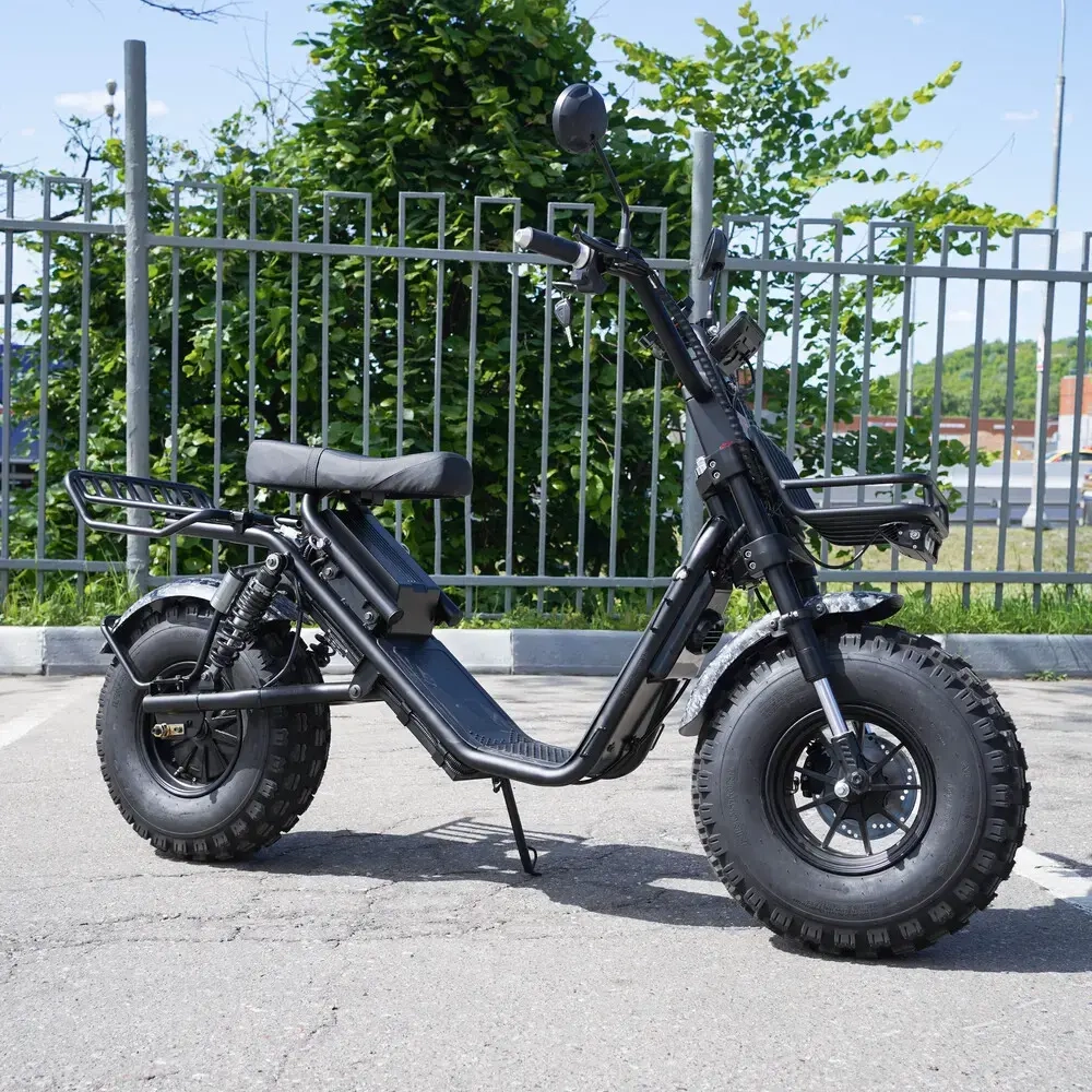 EcoMoto Lion Off-Road E1200W Back Edition