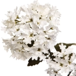 Искусственные цветы «FLOWERS MAGIC» 65см Гортензии 2 цветка шампань