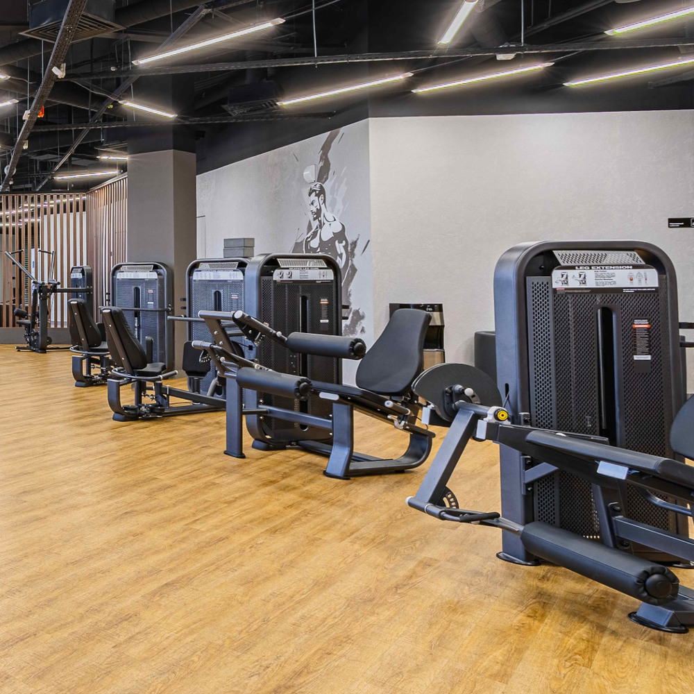 E7023 Сгибание ног сидя. Стек 110 кг