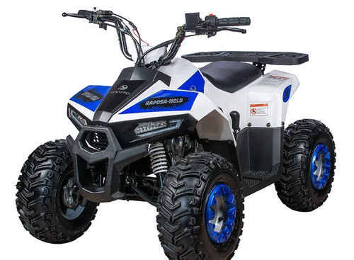Квадроцикл Yacota Raposa PRO-SPORT