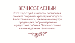 Статусный шар Вечнозеленый в wow-упаковке