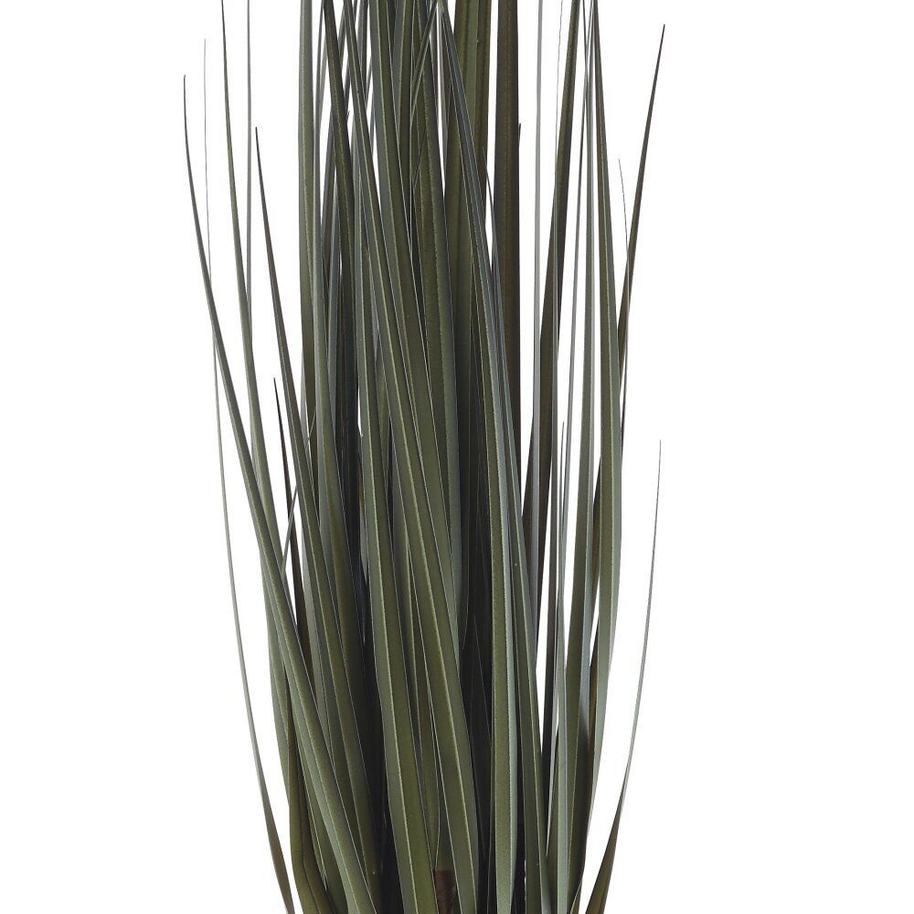 GAEM Цветочная композиция "Осока", L13 W12,5 H92 см