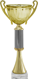 Кубок "Викки"