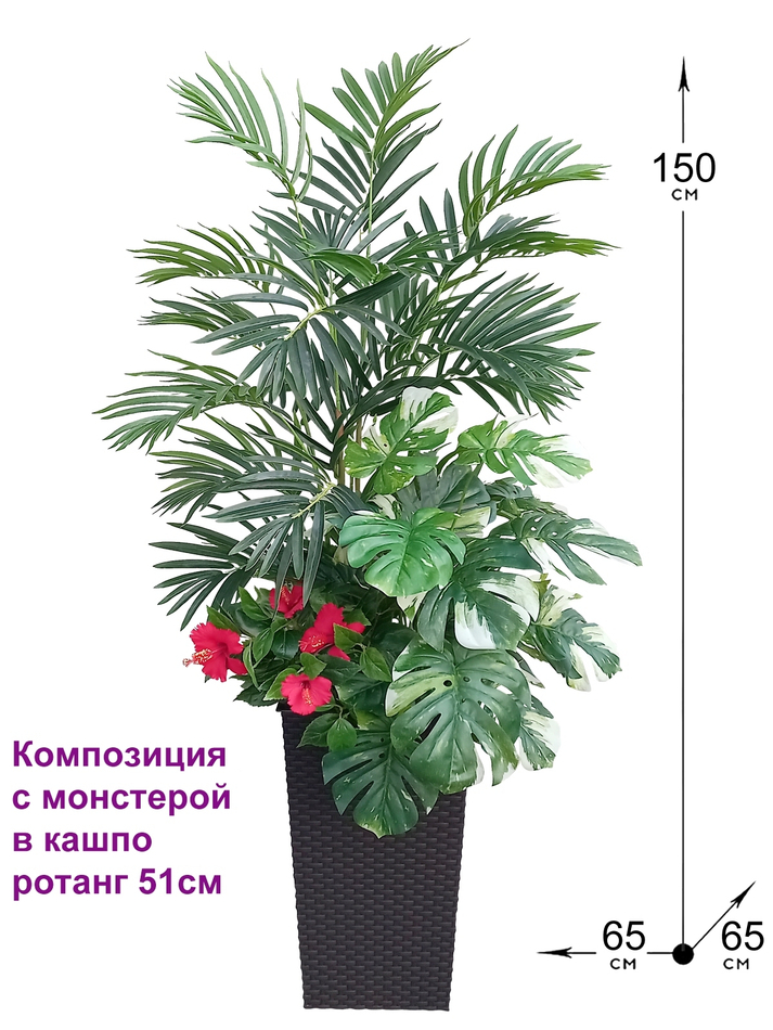 Композиция 150см с монстерой в кашпо ротанг 51см