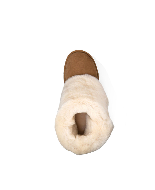 BAILEY BUTTON TRIPLET II Chestnut