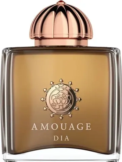 AMOUAGE DIA WOMAN EDP 100 ML