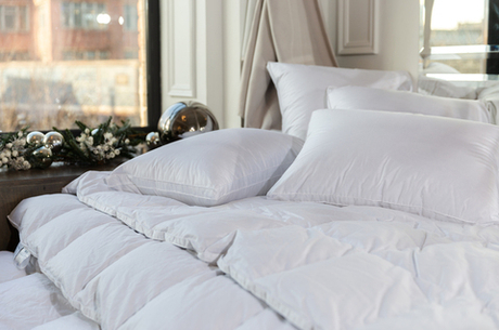 Подушка трехкамерная 3D упругая с бортиком 68х68 German Grass White Familie Down