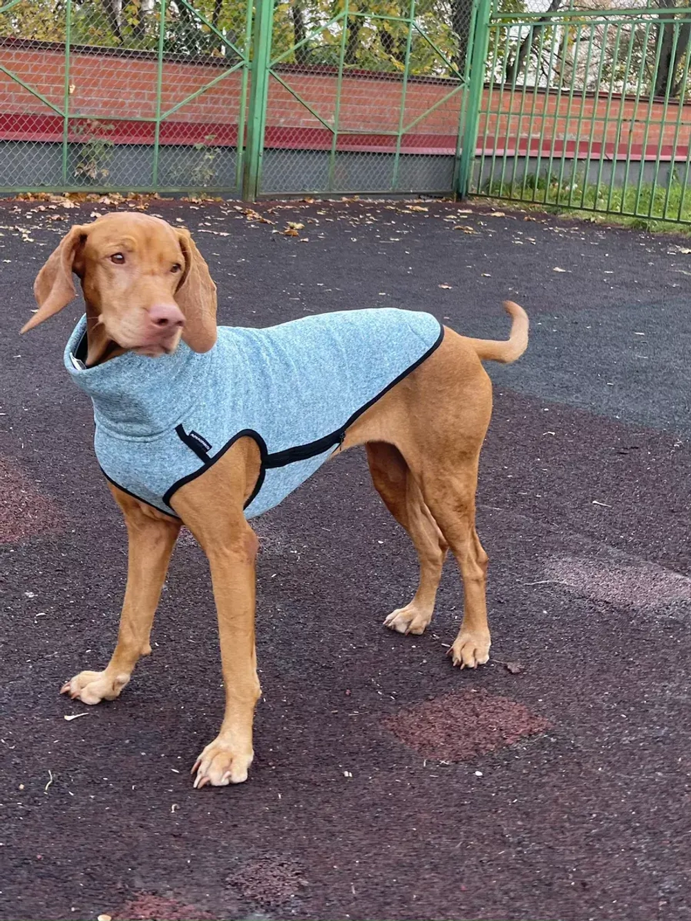 Свитер для собак на молнии попона