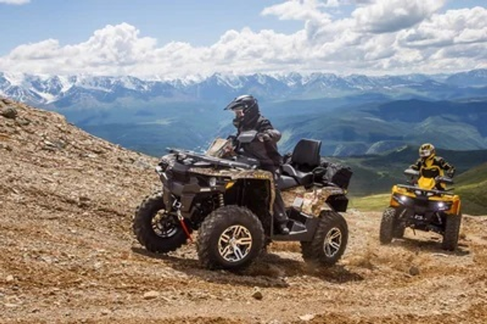 Квадроцикл СТЕЛС ATV 650 Guepard Trophy EPS CVTech