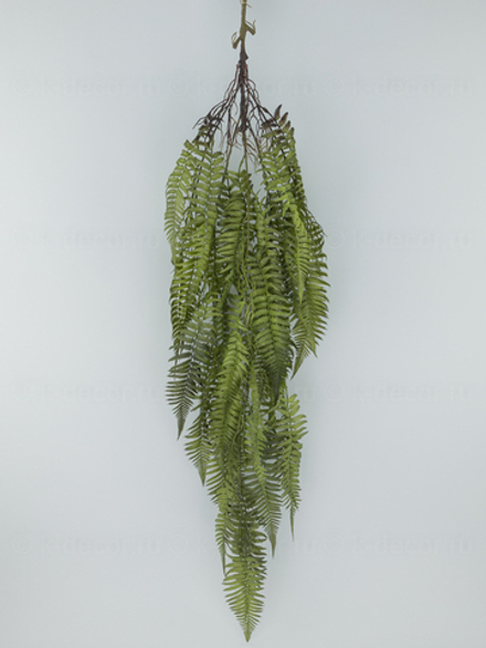 Папоротник ампельный Адонис