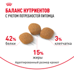 Royal Canin Protein Exigent Протеин Экзиджент Корм сухой для взрослых кошек привередливых к белку в составе старше 1 года 400г