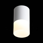 ST100.502.10 Светильник потолочный Белый LED 1*10W 3000K 780Lm Ra&gt;80 120° D78xH135 170-240V Накладные светильники