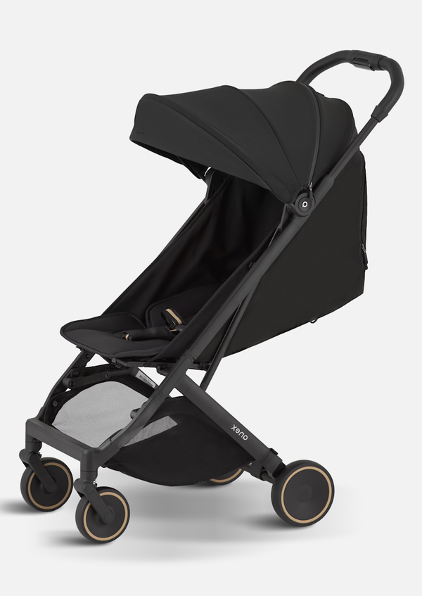 Anex Прогулочная коляска AIR-X2 Nero