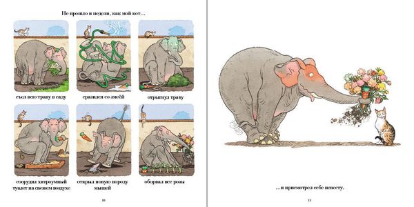 Личная жизнь моего кота