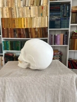 Статуэтка - Скульптура Череп для интерьера и декора