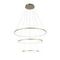 Подвесная светодиодная люстра ST Luce Erto SL904.203.03