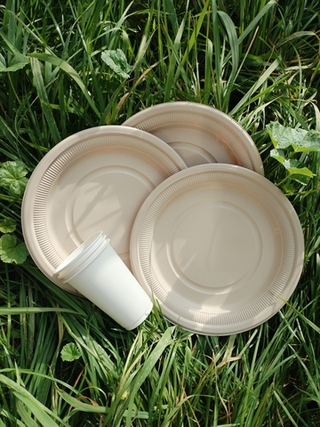 БИО Тарелка 180*18мм одн.кукурузный крахмал Крафт /6 шт