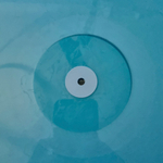 Linkin Park / The Hunting Party (Limited Edition)(Coloured Vinyl)(2LP)