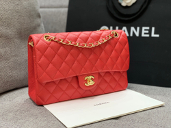 Chanel Bag 23 cm