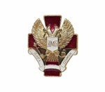 Значок ДМБ пора домой (красный крест)