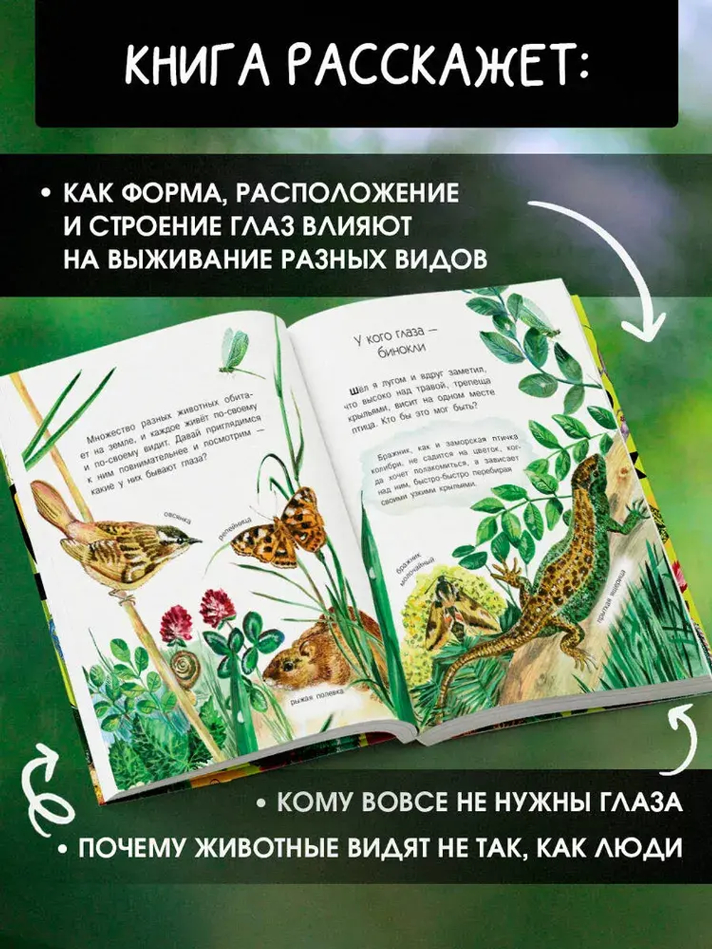Кто как видит?