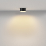 Потолочный светильник Technical C032CL-12W2.7K-RD-B