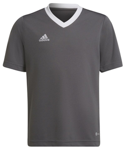 Футболка для мальчика теннисная Adidas Kids Entrada 22 Jersey - серый