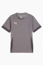Футболка Puma teamGOAL Matchday Junior - серый