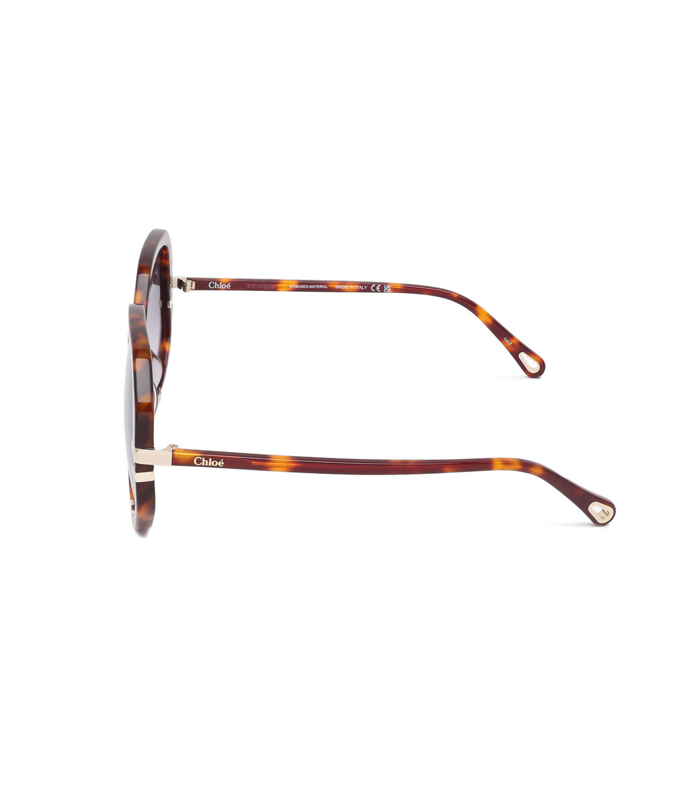 Солнцезащитные очки CH0105S Chloe - черепаховый(CH0105S)