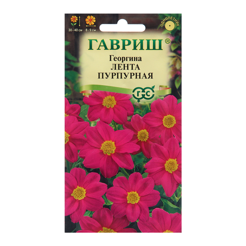 Георгина "Лента", пурпурная, 0,2 г