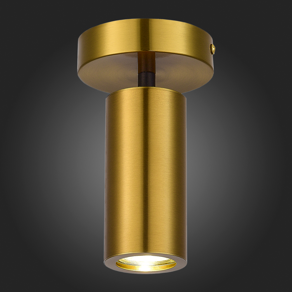 Светильник потолочный ST Luce Talia SL1215.402.01