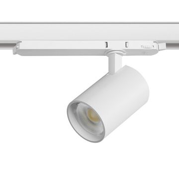 Светильник для трековой системы Quattro LED с управлением DALI 24W 3000K A5236DALI белый Alta Base Lightstar