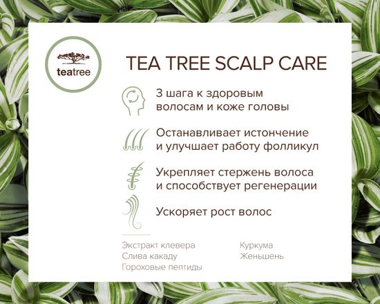Paul Mitchell REGENIPLEX Scalp Care Tonic Тоник для кожи головы с комплексом Regeniplex, 100 мл