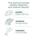 Traditional Medicinals, Ginger Aid, органический, (имбирь), без кофеина, 16 чайных пакетиков, 32 г (1,13 унции)