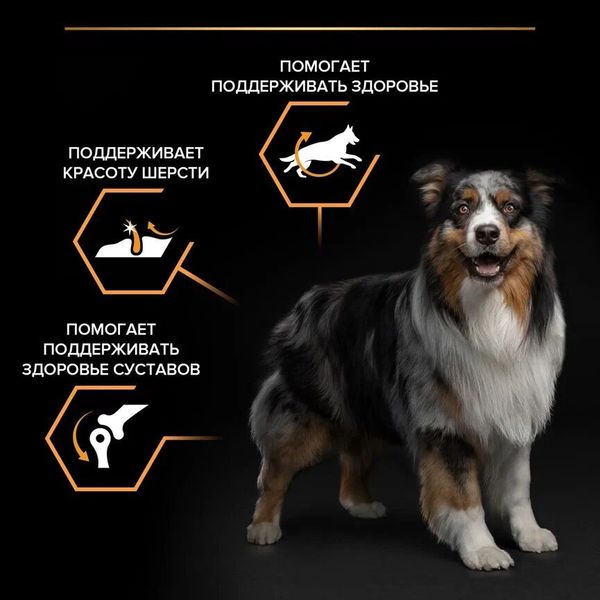 Сухой корм Pro Plan для взрослых собак средних пород, с высоким содержанием курицы