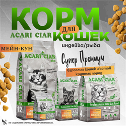 Acari Ciar А КЭТ Мейн-кун Индейка