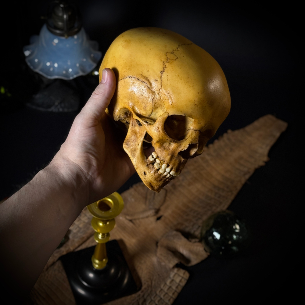 Статуэтка «Череп человека»