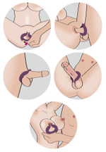 Вибратор для пар Two Motors Couple’s Ring в форме кольца (Цвет: фиолетовый)