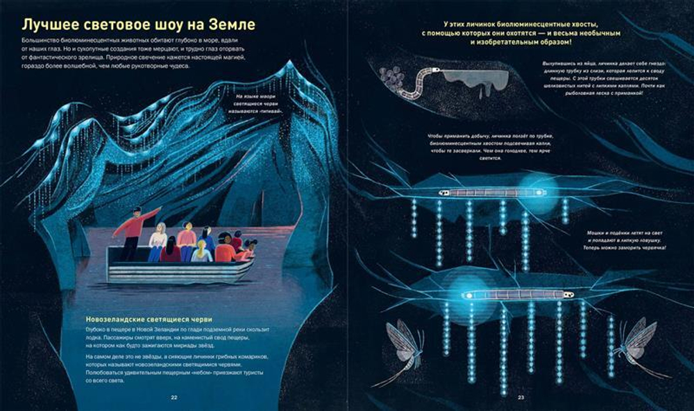 Кто светится в темноте? Невероятные факты о способностях животных