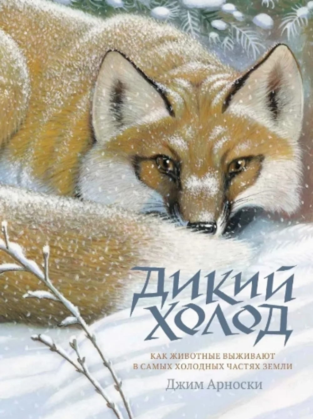 Дикий холод. Как животные выживают в самых холодных частях земли