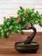 Бонсай в горшке &quot;Деревце изгиб&quot; 12х17 см, микс
